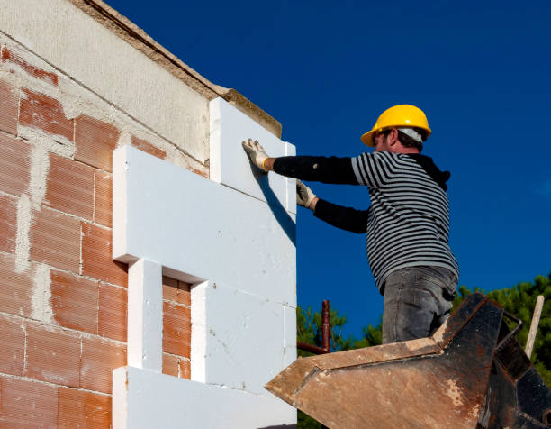 Best Crawl Space Insulation  in Las Palmas Ii, TX