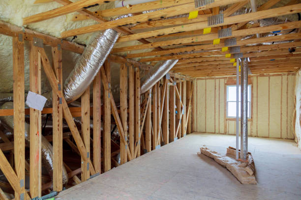 Best Spray Foam Insulation  in Las Palmas Ii, TX