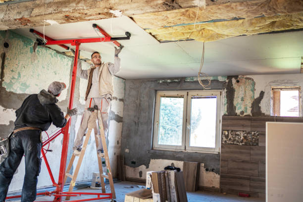 Best Cellulose Insulation  in Las Palmas Ii, TX