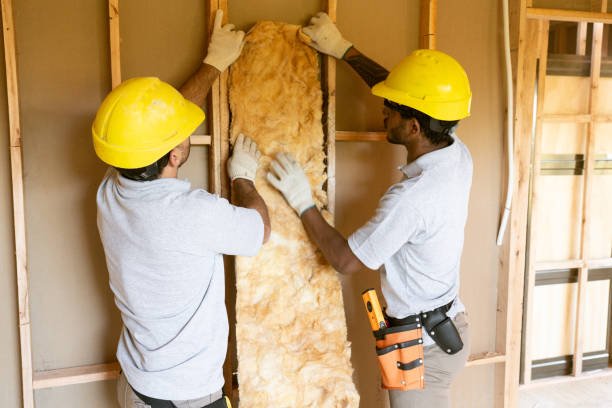 Best Insulation Removal  in Las Palmas Ii, TX