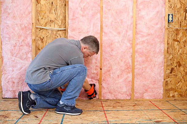 Best Insulation Replacement Services  in Las Palmas Ii, TX