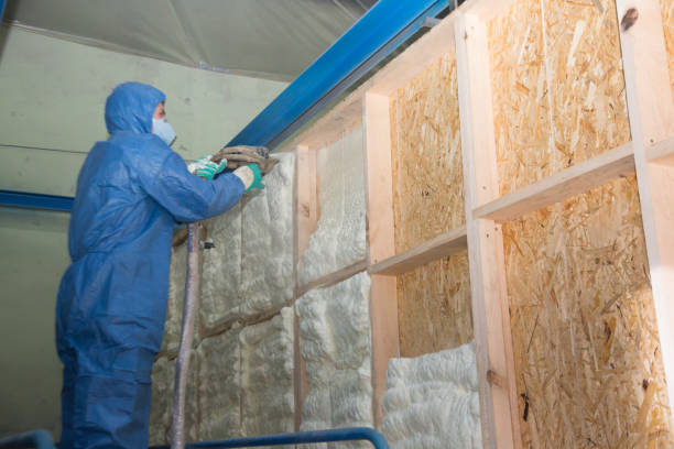 Range of Insulation Solutions in Las Palmas Ii, TX