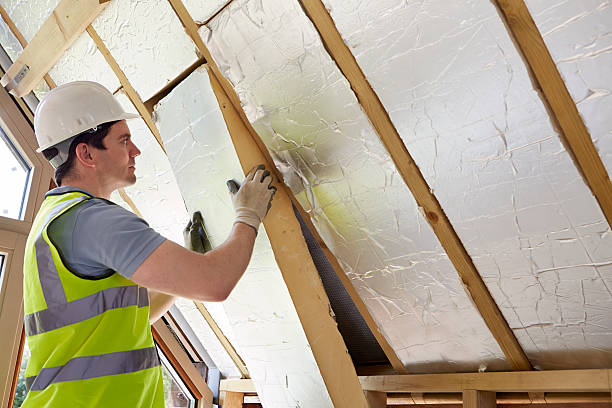 Best Attic Insulation Installation  in Las Palmas Ii, TX