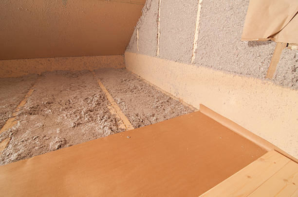 Best Professional Insulation Contractor  in Las Palmas Ii, TX