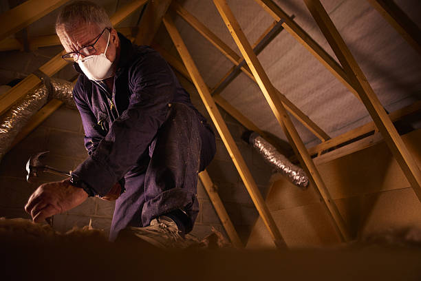 Best Spray Foam Insulation  in Las Palmas Ii, TX