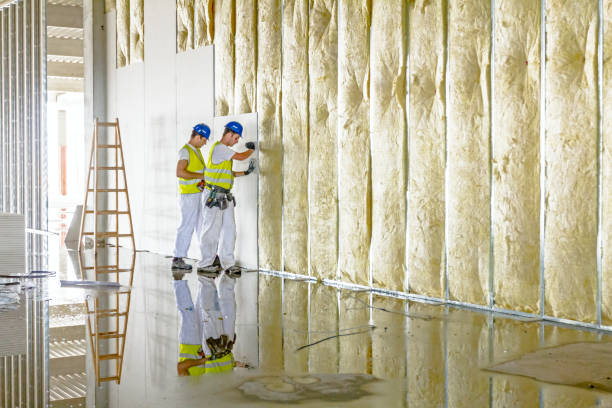 Las Palmas Ii, TX Insulation Contractor Company